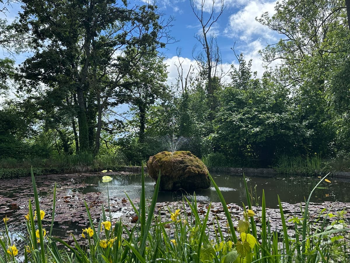 Jardin — bassin et nénuphars